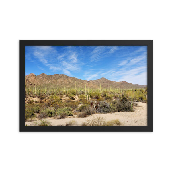 Saguaro Forest Photo enhanced matte paper framed poster (in) black 12x18 transparent 60b1854a406b3
