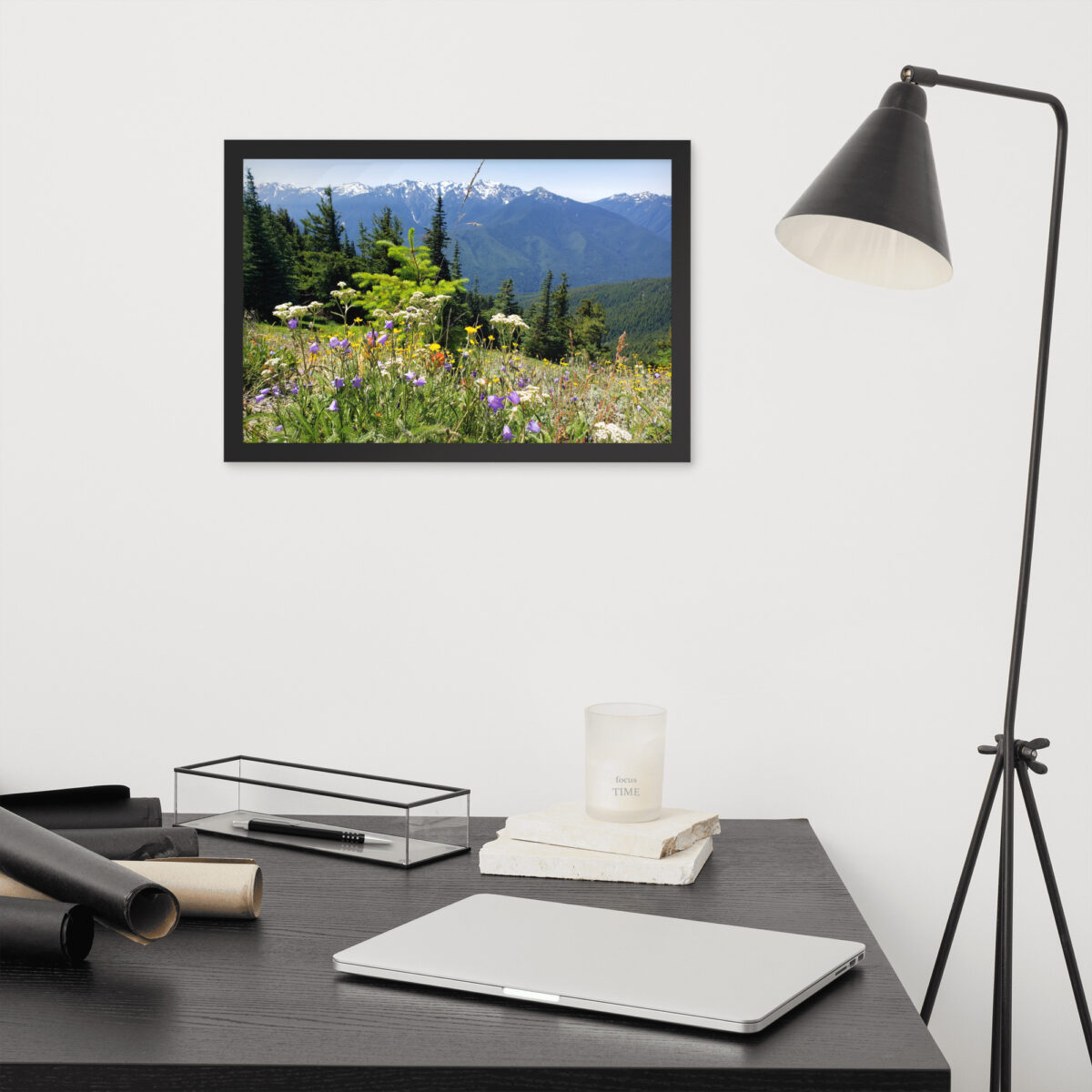 Olympic Mountains From Hurricane Hillenhanced matte paper framed poster (in) black 12x18 front 654aefbe8bc81