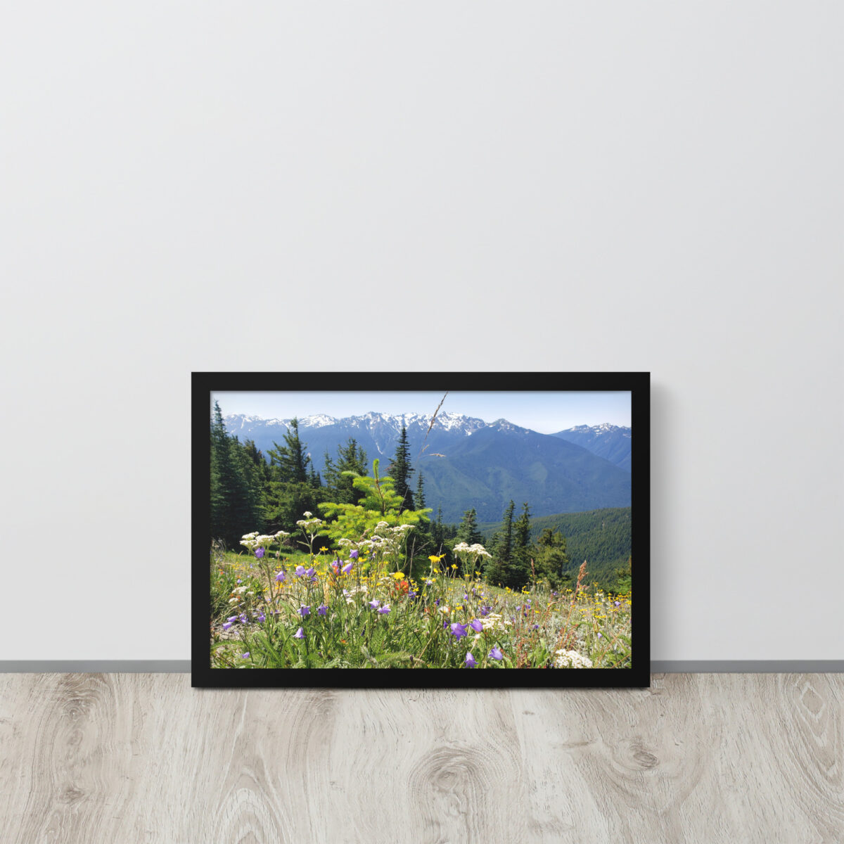Olympic Mountains From Hurricane Hillenhanced matte paper framed poster (in) black 12x18 front 654aefbe8bcbe