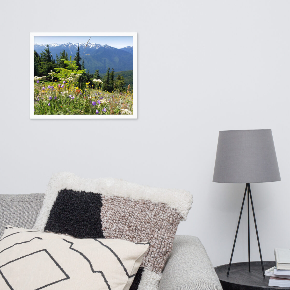 Olympic Mountains From Hurricane Hillenhanced matte paper framed poster (in) white 16x20 front 654aefbe8bd7a