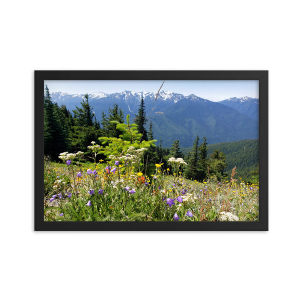 Olympic Mountains From Hurricanenhanced matte paper framed poster (in) black 12x18 transparent 654af08002193