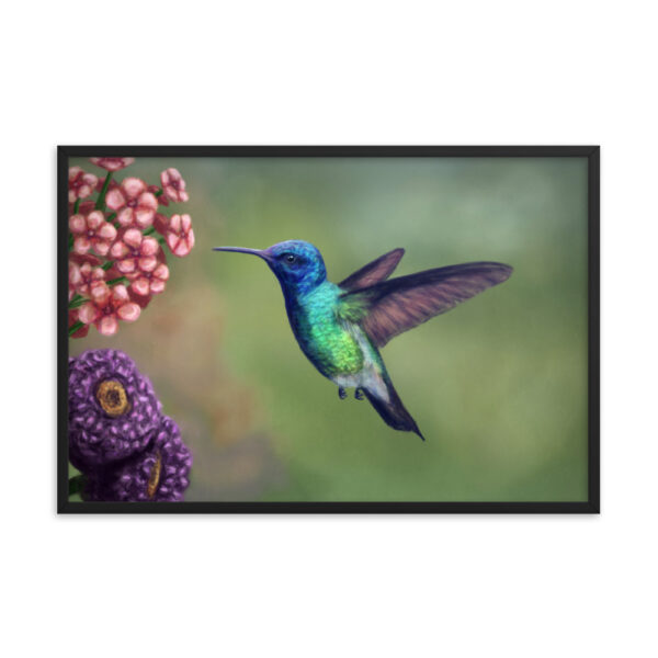 Hummingbird enhanced matte paper framed poster (in) black 24x36 transparent 661883ae96b11
